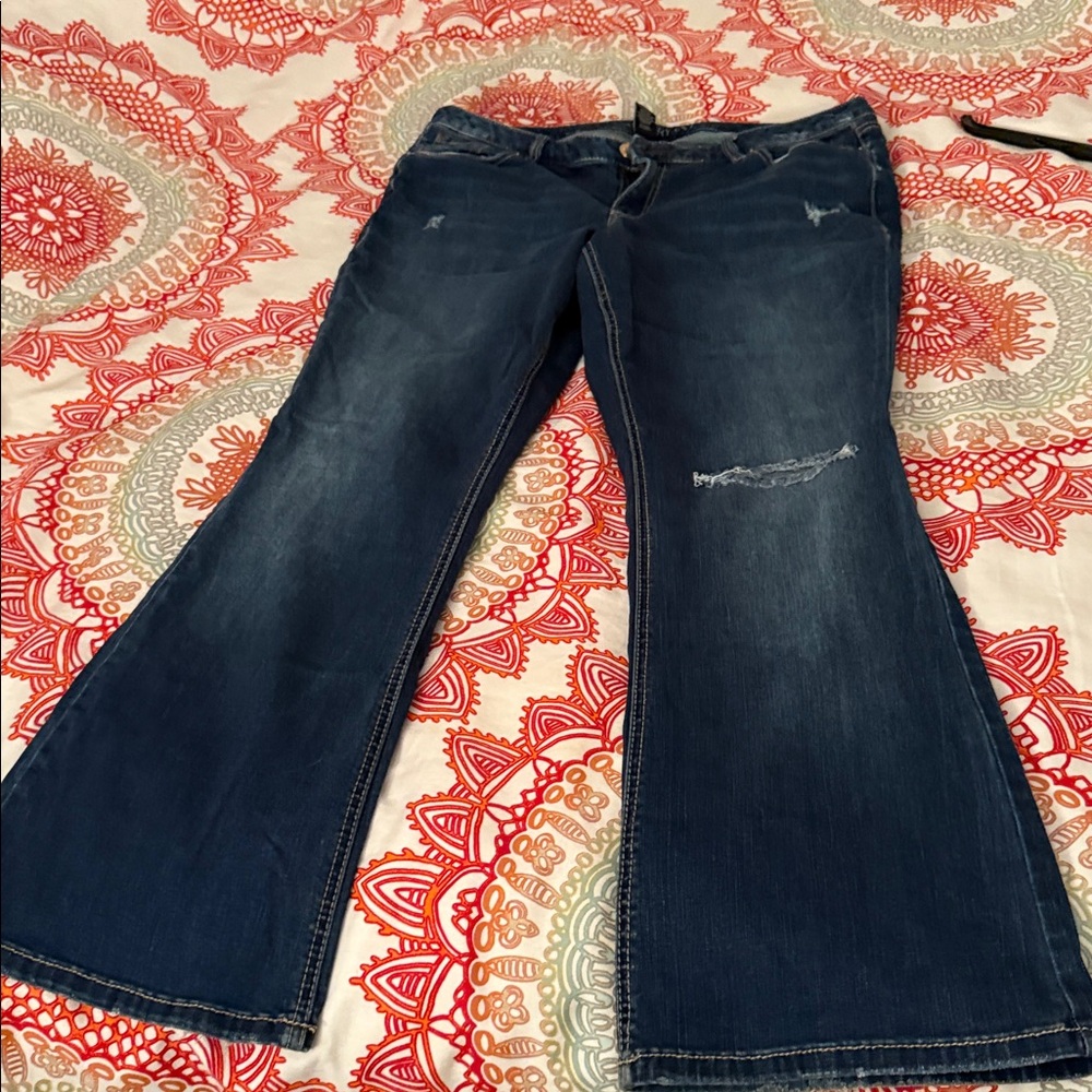 Lane Bryant Bootcut Denim Jeans - Classic Blue